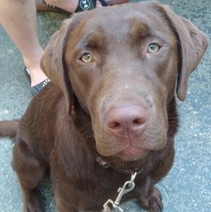 Meet your Posher, Jaysen